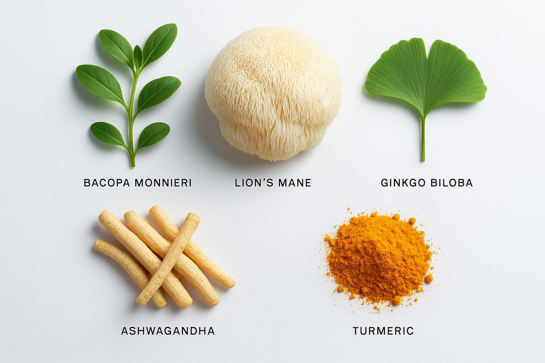5 Nootropics for Long-Term Brain Health