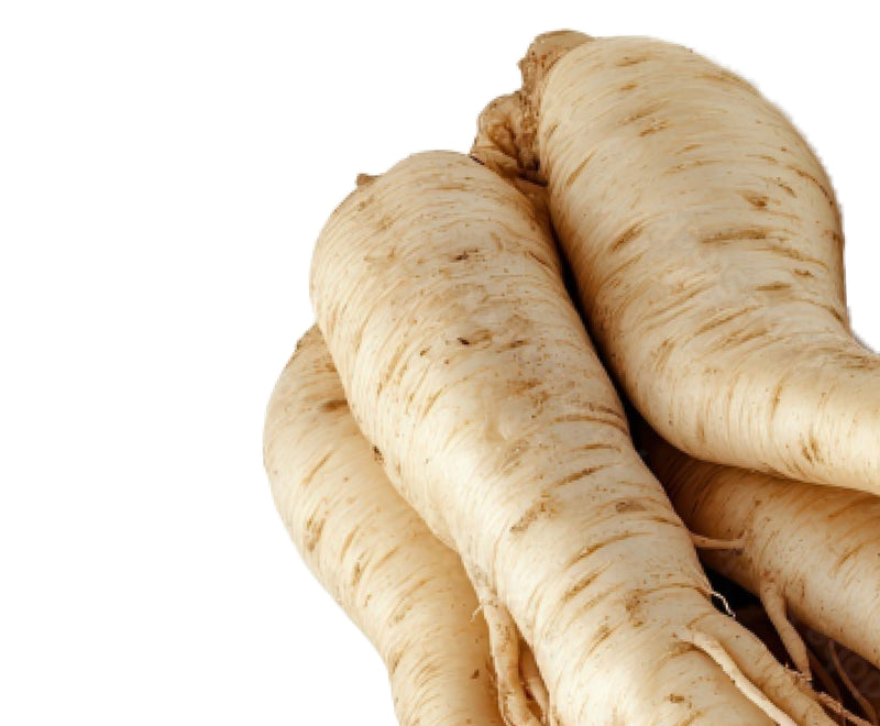 Close-up of ginseng root showcasing its pale tan, fibrous texture on a white background