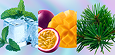 Variety Pack