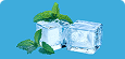 Cool Mint